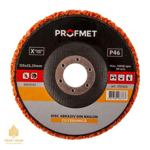 Disc abraziv din nailon 125x22.23 mm P46