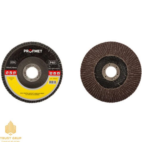 Disc lamelar pentru șlefuit 125x22.23 mm M80