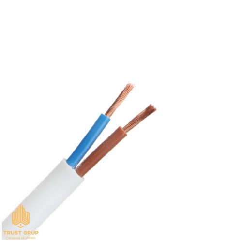 Fir electric PVS 2 x 2.5 mm