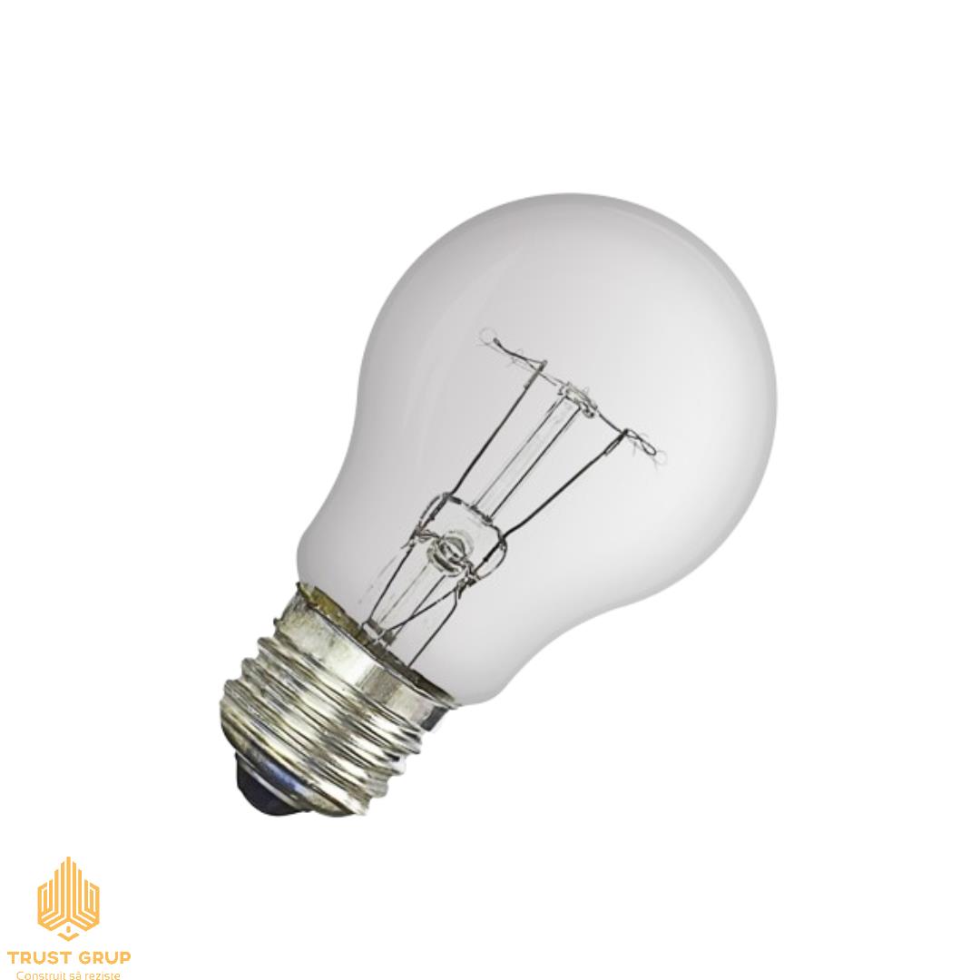 prd185120_1.jpg Bec incandescent 100W 240V E27 Panlight