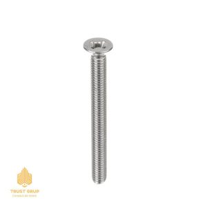 Șurub filetat cu cap plat (+) WPN 40045, 4x45 mm