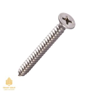 Șurub autofiletant cu cap plat și șaibă 6x140 mm TX30